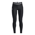 HeatGear® Leggings - col. 0001
