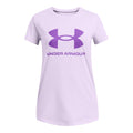 UA Graphic Short Sleeve - col. 0535