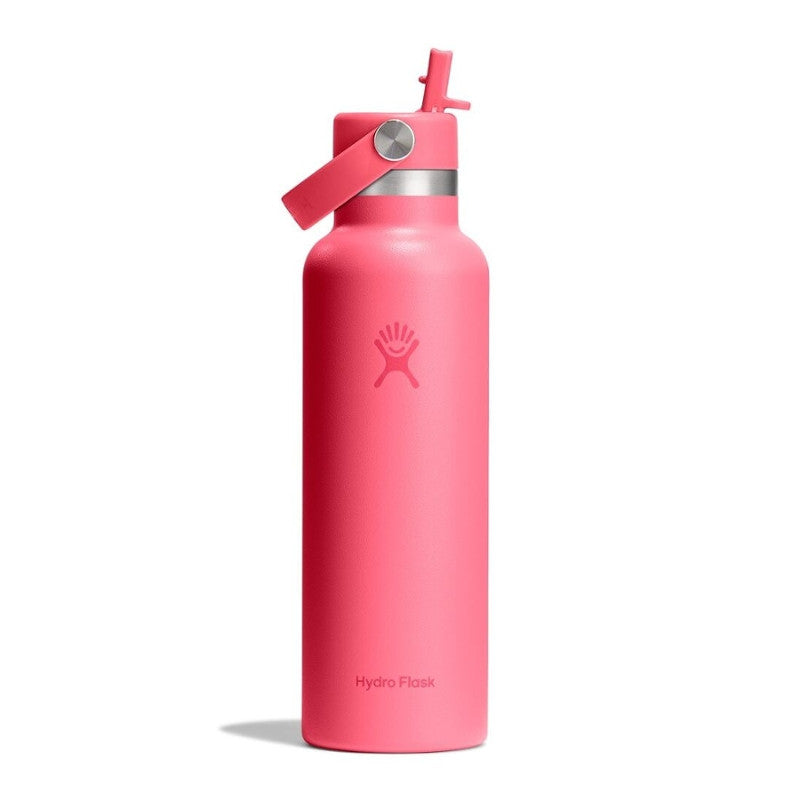 21 oz Standard Flex Straw Cap - col. 668